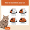 Wellness CORE Sterilised Ocean, 300g, Salmon, Dry Cat Food for Sterilised  Indoor CatsHigh Content, , Supports Healthy Skin