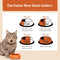 Wellness CORE Sterilised Ocean, 300g, Salmon, Dry Cat Food for Sterilised  Indoor CatsHigh Content, , Supports Healthy Skin