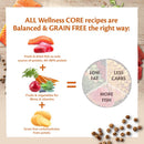 Wellness CORE Sterilised Ocean, 300g, Salmon, Dry Cat Food for Sterilised  Indoor CatsHigh Content, , Supports Healthy Skin