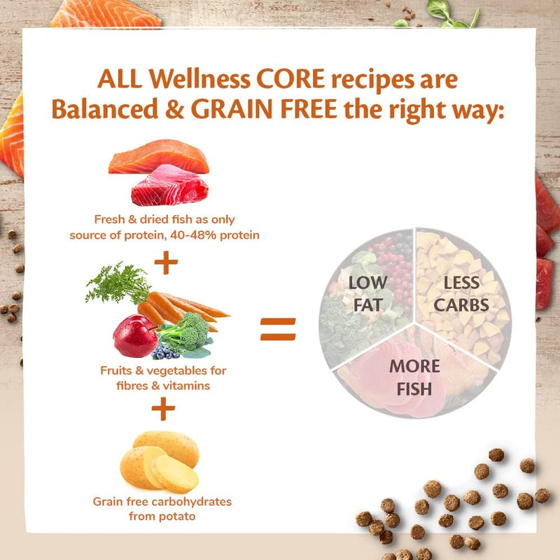 Wellness CORE Sterilised Ocean, 300g, Salmon, Dry Cat Food for Sterilised  Indoor CatsHigh Content, , Supports Healthy Skin