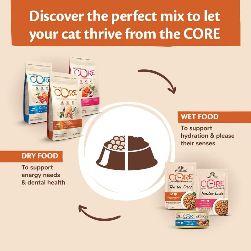 Wellness CORE Sterilised Ocean, 300g, Salmon, Dry Cat Food for Sterilised  Indoor CatsHigh Content, , Supports Healthy Skin