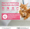 Wellness CORE Sterilised Ocean, 300g, Salmon, Dry Cat Food for Sterilised  Indoor CatsHigh Content, , Supports Healthy Skin