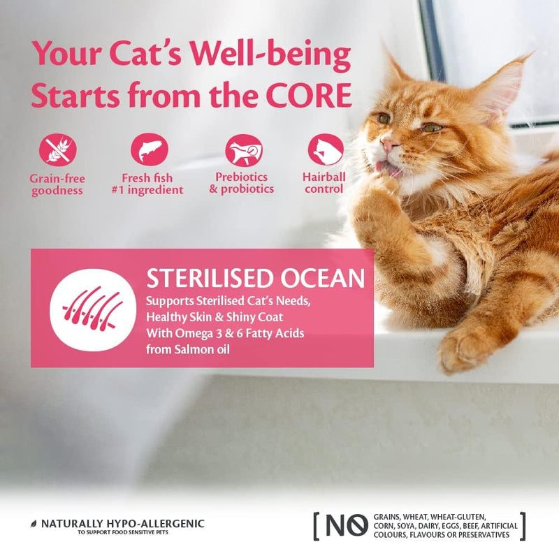 Wellness CORE Sterilised Ocean, 300g, Salmon, Dry Cat Food for Sterilised  Indoor CatsHigh Content, , Supports Healthy Skin